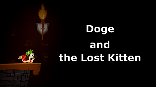 Doge and the lost kitten