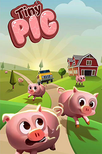 Скачать Tiny pig: Android Тайм киллеры игра на телефон и планшет.