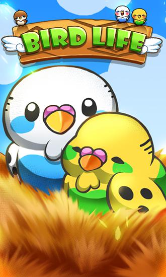 Скачать Bird life: Android Три в ряд игра на телефон и планшет.