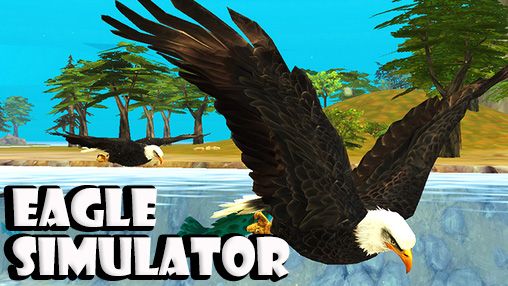 Скачать Eagle simulator: Android игра на телефон и планшет.