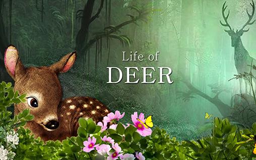Скачать Life of deer: Android Животные игра на телефон и планшет.