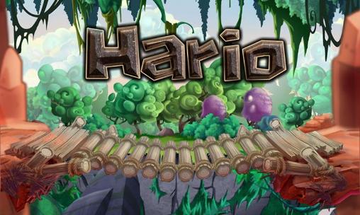 New Hario world