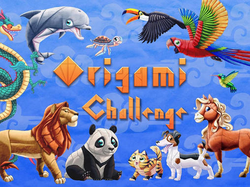 Origami challenge