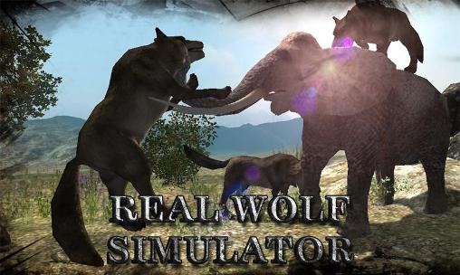 Скачать Real wolf simulator на Андроид 4.3 бесплатно.