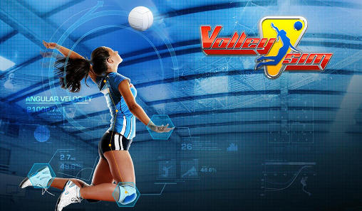 Скачать Volleysim на Андроид 4.1 бесплатно.