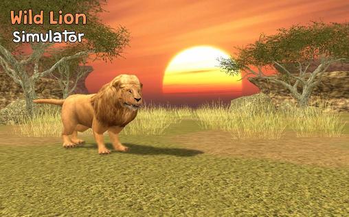 Wild lion simulator 3D