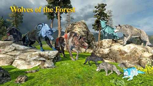 Скачать Wolves of the forest: Android Животные игра на телефон и планшет.
