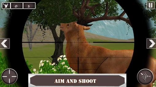 Deer hunting challenge 3D