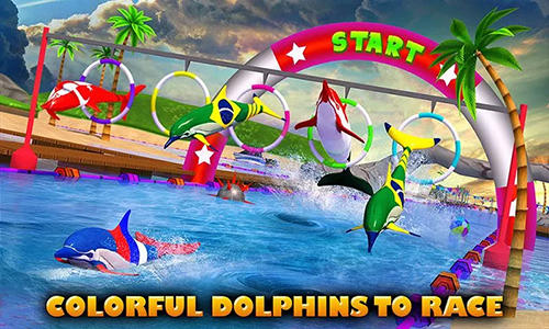 Dolphin racing 3D