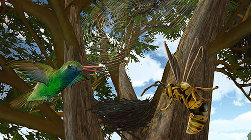 Hummingbird simulator 3D
