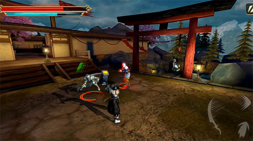 Takashi: Ninja warrior