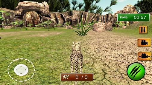 African cheetah: Survival sim