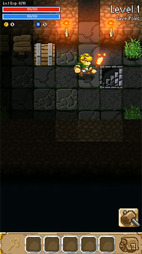 Mystery dungeon: Roguelike RPG