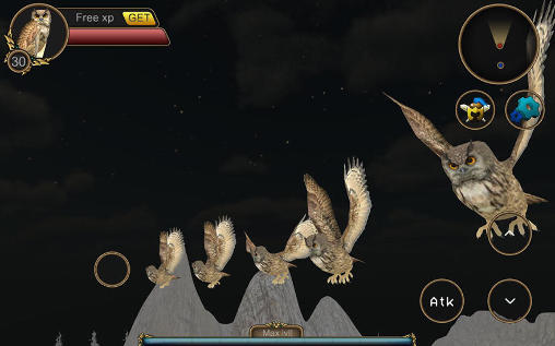 Owl bird simulator