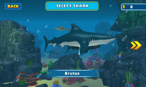Shark attack simulator 3D
