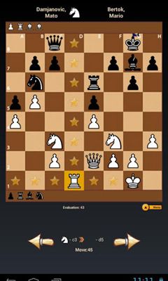 Black Knight Chess