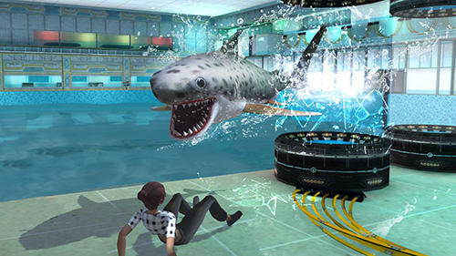 Whale shark attack simulator 2019