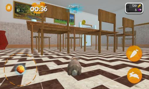 Bunny simulator