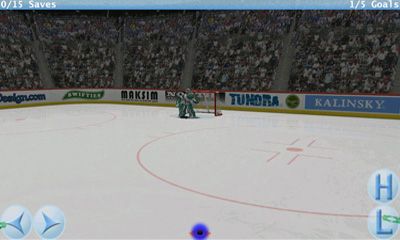 Virtual Goaltender