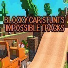 Скачайте игру Blocky car stunts: Impossible tracks бесплатно и Bridge.io для Андроид телефонов и планшетов.