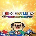 Скачайте игру Brick valley: Your virtual pet бесплатно и Polarity для Андроид телефонов и планшетов.