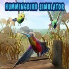 Скачайте игру Hummingbird simulator 3D бесплатно и Skater: Freestyle для Андроид телефонов и планшетов.