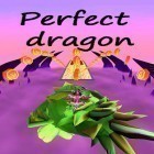 Скачайте игру Perfect dragon бесплатно и Cubot для Андроид телефонов и планшетов.