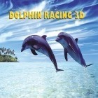 Скачайте игру Dolphin racing 3D бесплатно и Echoes of the past: Royal house of stone для Андроид телефонов и планшетов.