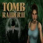 Скачайте игру Tomb raider 2 бесплатно и Let pig go для Андроид телефонов и планшетов.