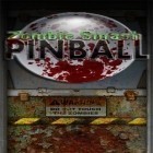 Скачайте игру Zombie smash: Pinball бесплатно и Priest hunting для Андроид телефонов и планшетов.