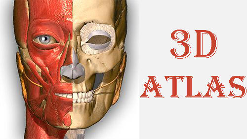 Скачать Anatomy learning - 3D atlas для Андроид бесплатно.