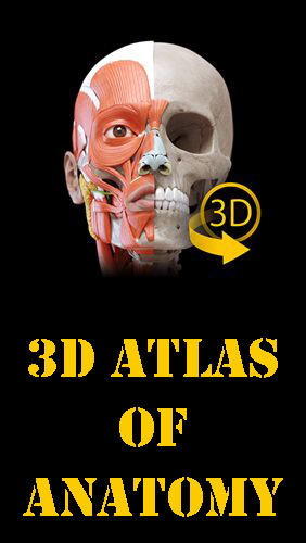 Скачать Muscle | Skeleton - 3D atlas of anatomy для Андроид бесплатно.