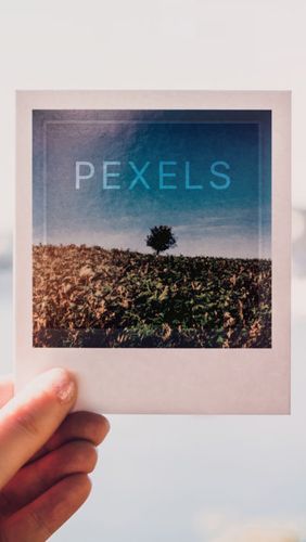Скачать Pexels для Андроид бесплатно.