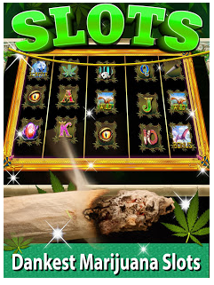 Скачать Kush Slots: Marijuana Casino, Lucky Weed Smokers на Андроид 4.1 бесплатно.