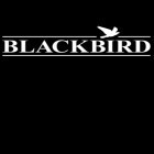 С приложением  для Android скачайте бесплатно Blackbird на телефон или планшет.
