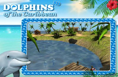 Dolphins of the Caribbean - Adventure of the Pirate’s Treasure