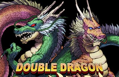 Скачайте Драки игру Double Dragon для iPad.
