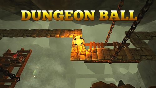 Скачать Dungeon ball на iPhone iOS 8.0 бесплатно.