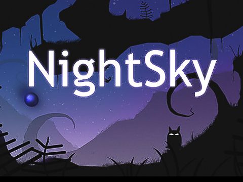 Скачать Night sky на iPhone iOS 5.1 бесплатно.