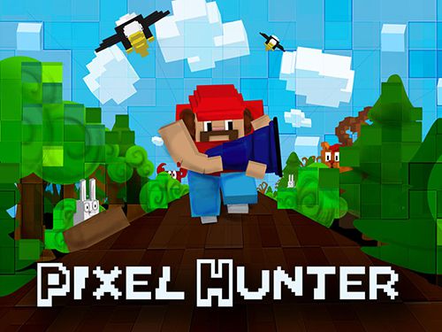 Скачать Pixel hunter на iPhone iOS 7.0 бесплатно.
