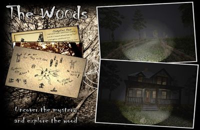 Скачайте Логические игру The Woods для iPad.