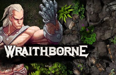Скачайте Драки игру Wraithborne для iPad.