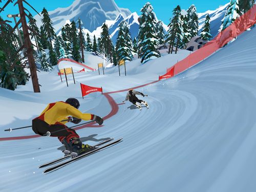 FRS ski cross: Racing challenge