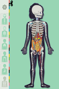 The Human Body by Tinybop
