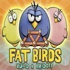 Скачать игру Fat Birds Build a Bridge! бесплатно и Red Bull X-Fighters 2012 для iPhone и iPad.