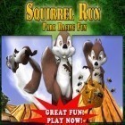 Скачать игру Squirrel Run бесплатно и Crazy hamster для iPhone и iPad.