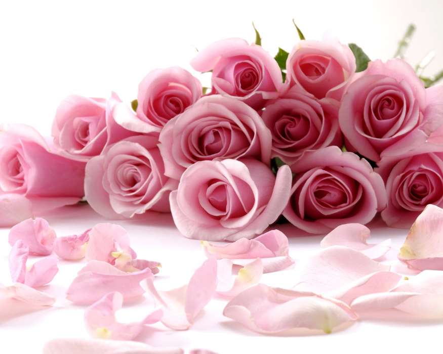 8 марта, Цветы, Открытки, Праздники, Розы