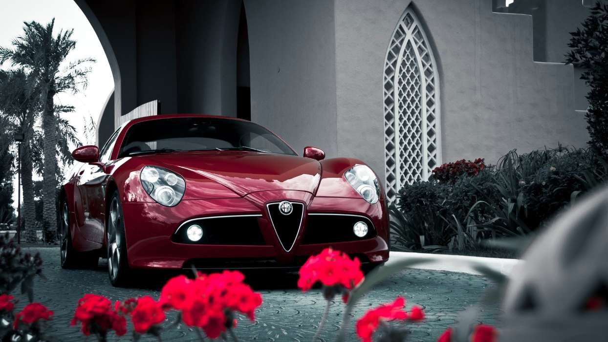 Альфа Ромео (Alfa Romeo),Машины,Транспорт