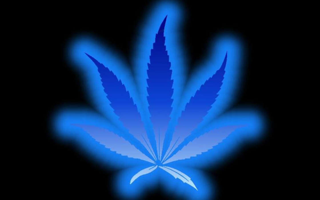 Конопля (Cannabis), Марихуана, Фон