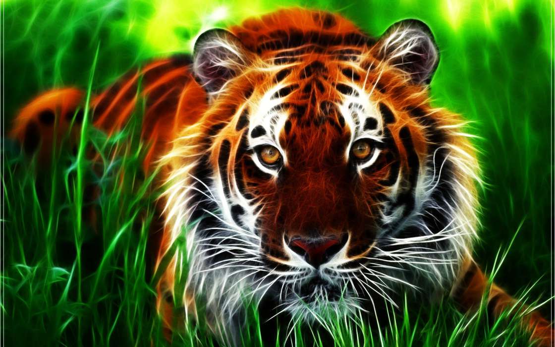 Артфото,Тигры,Животные